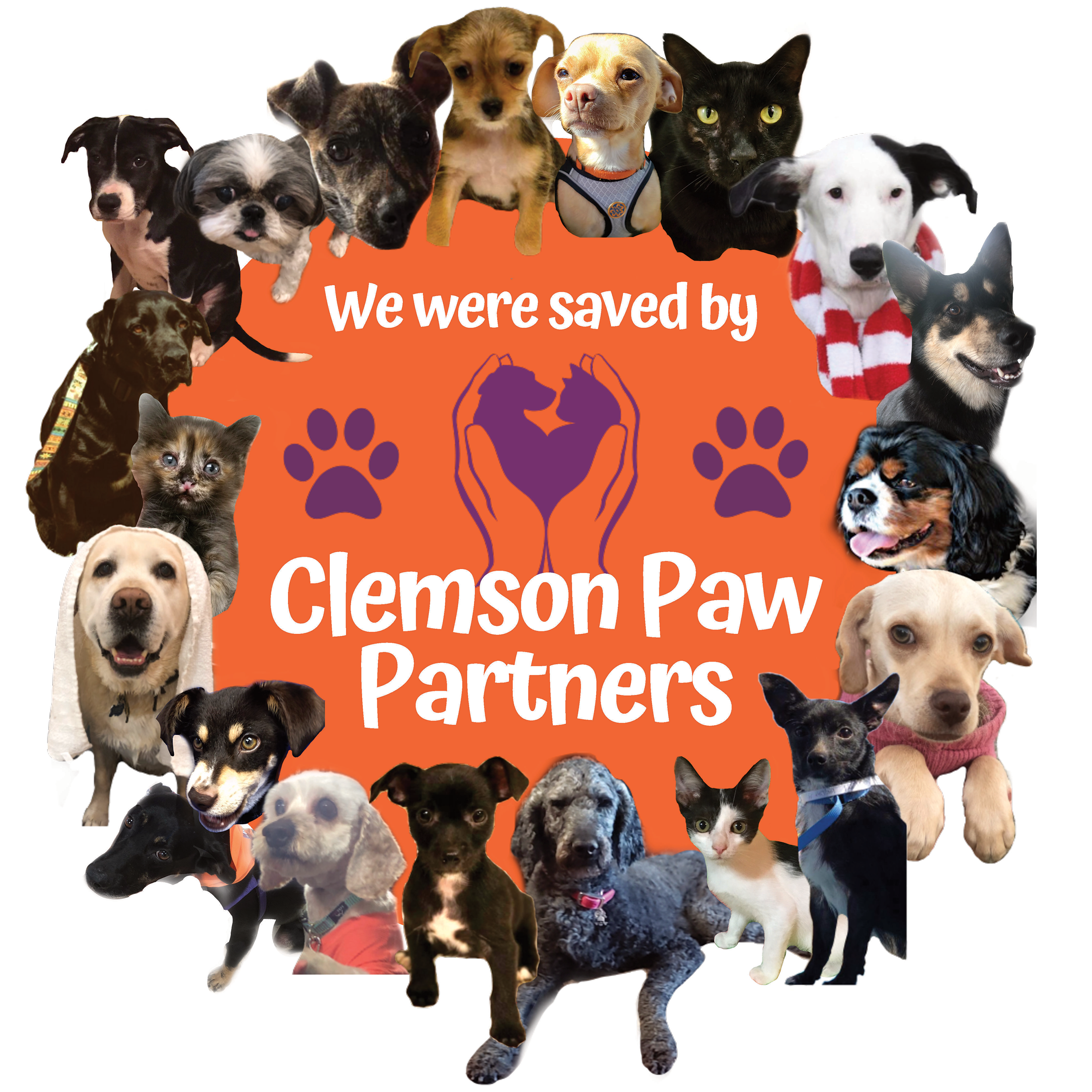 Clemson Paw Partners Saved Animals